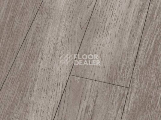 Ламинат Falquon Blue Line Wood 8mm D4187 WHITE OAK фото 1 | FLOORDEALER